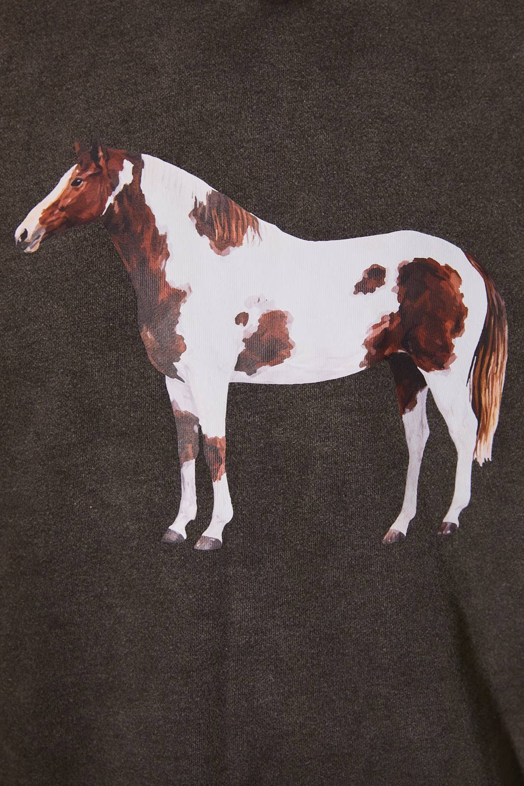 "HORSE" GRAPHIC LONG SLEEVE CREW NECK OVERSIZED SWEATSHIRT