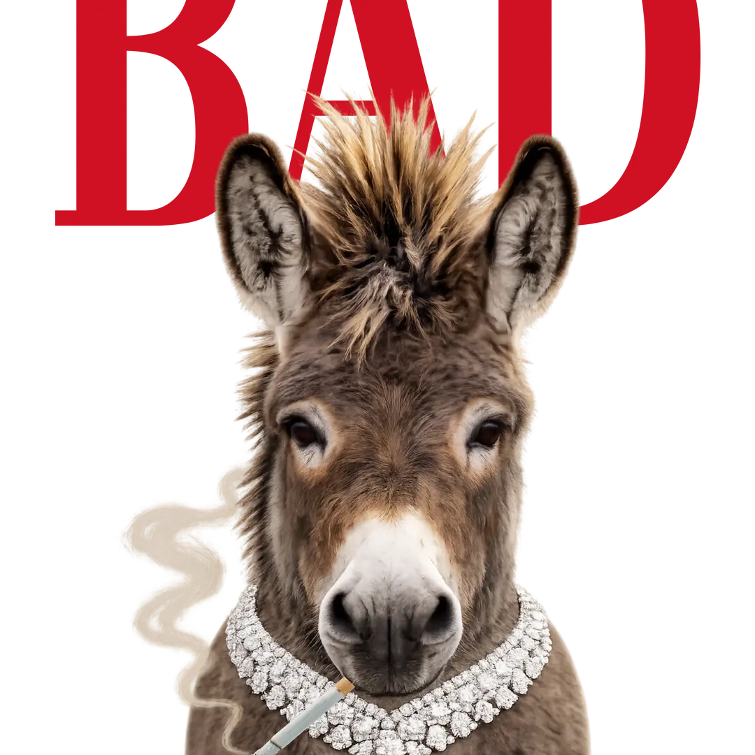 BAD blinged donkey tee short sleeve