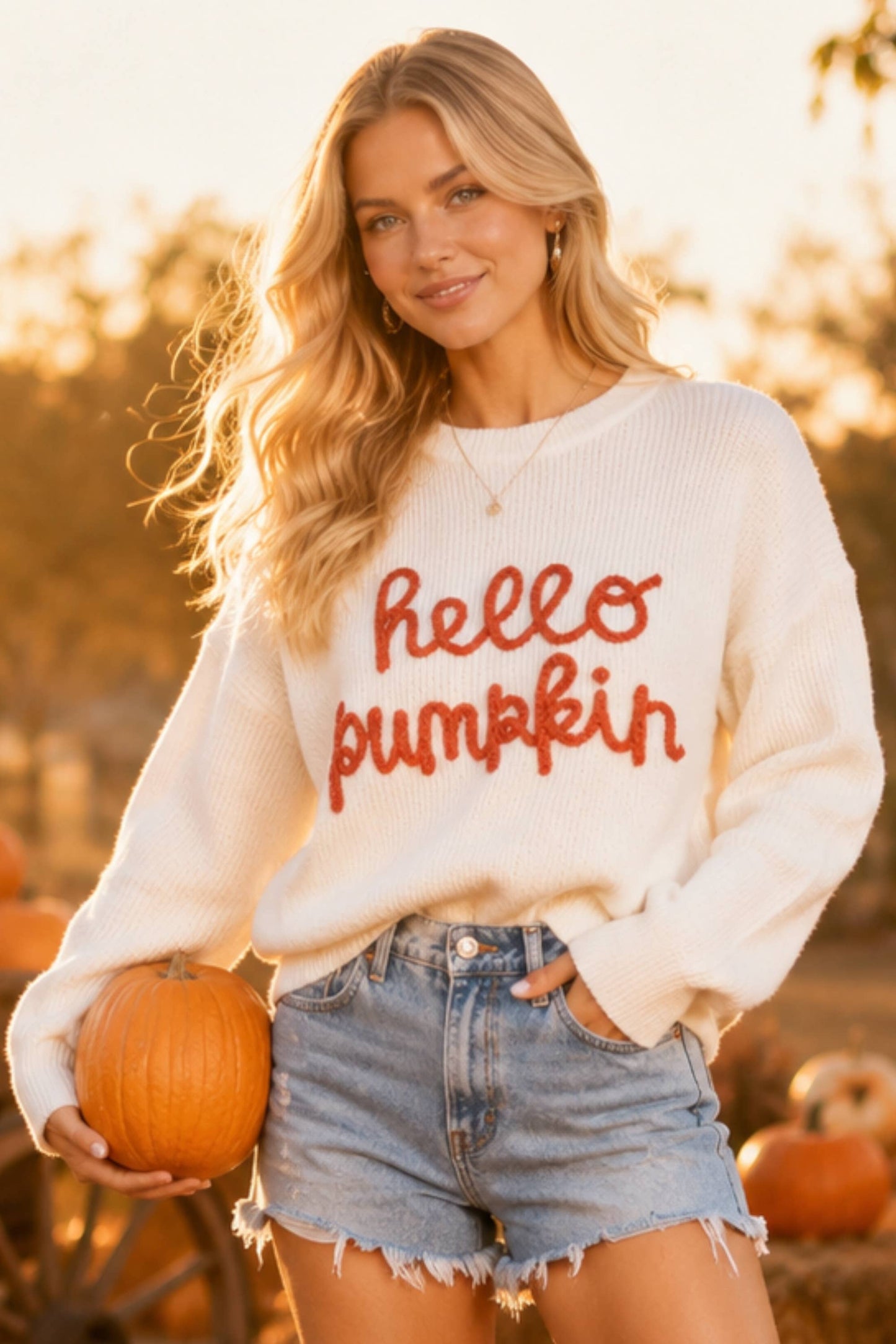 Hello Pumpkin Embroidered Knit Sweater – Fall Cozy Pullover
