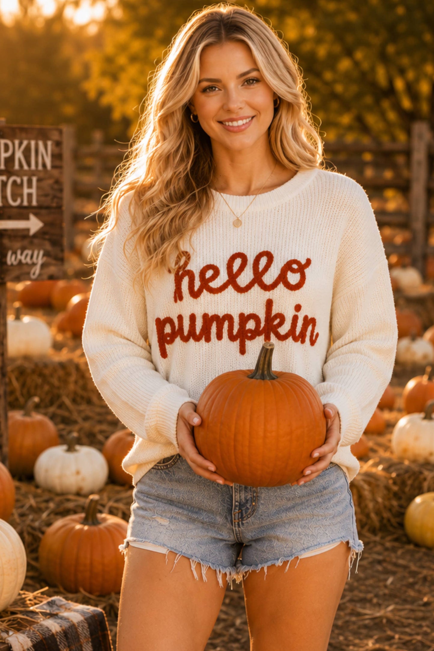 Hello Pumpkin Embroidered Knit Sweater – Fall Cozy Pullover