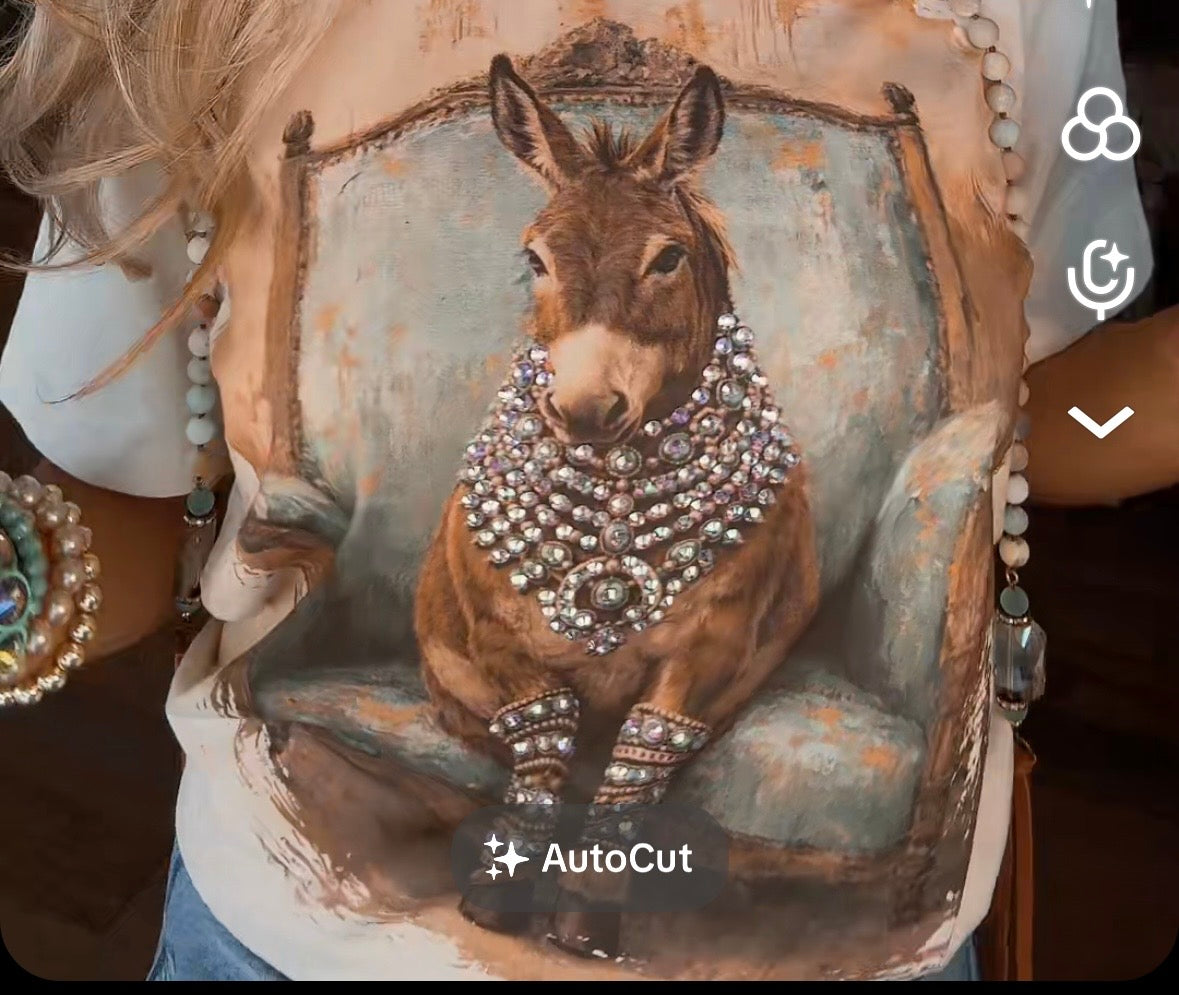 Donkey in Turquoise Chair Tee with Crystals