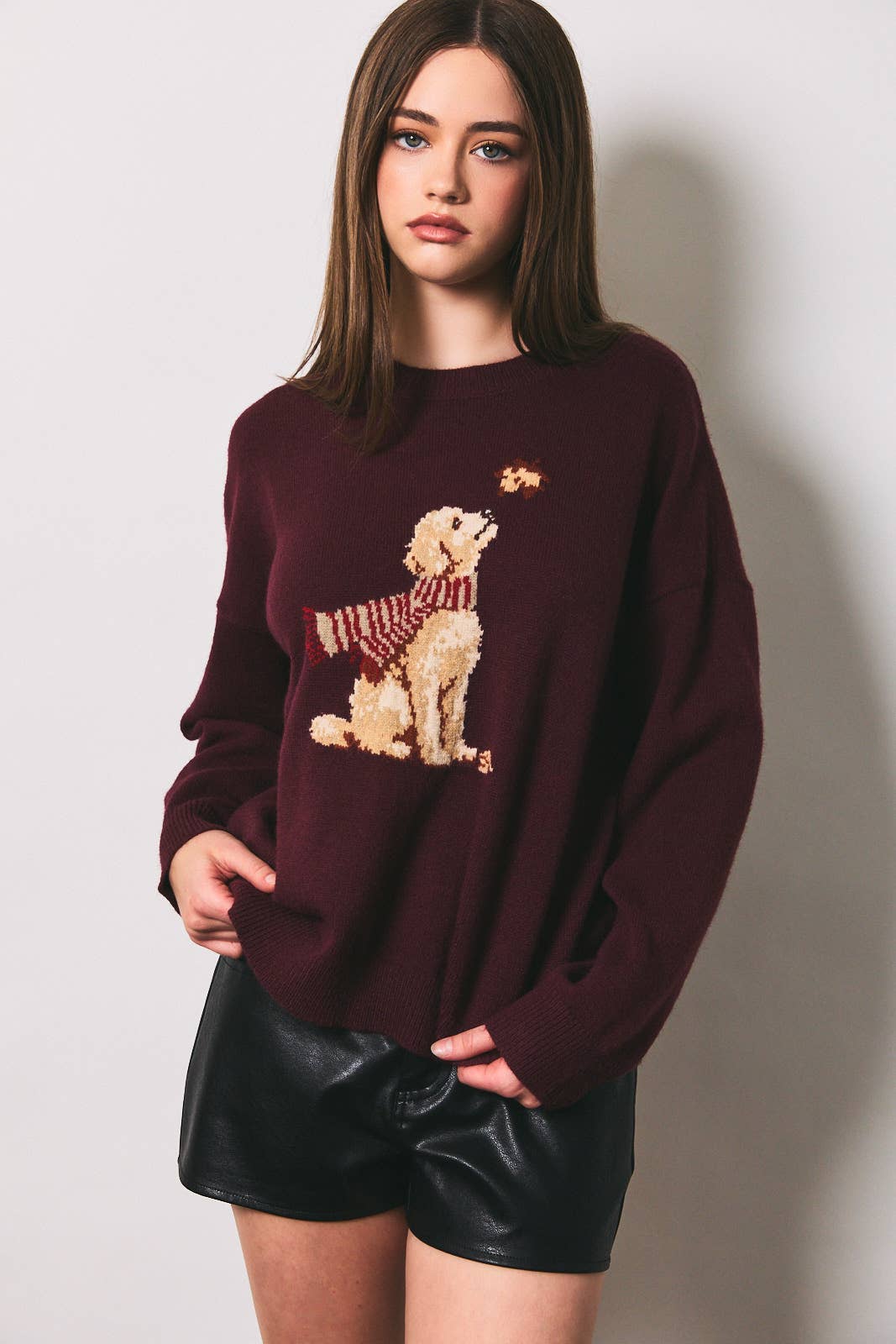 PUPPY WITH FALLEN LEAVES GRAPHIC OVERSIZED SWEATER: Burgundy